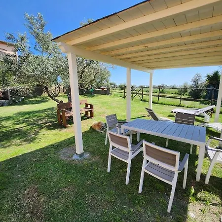 Podere Il Polveroso Cecina (Livorno)