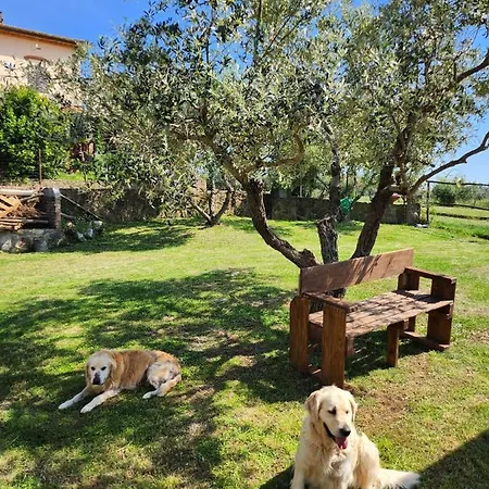Podere Il Polveroso