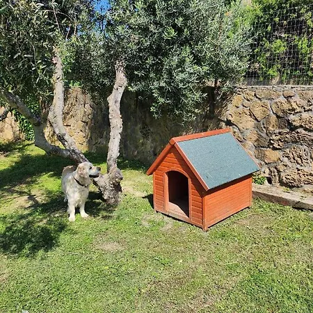 Guest house Podere Il Polveroso Cecina (Livorno)