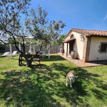 Guest house Podere Il Polveroso *